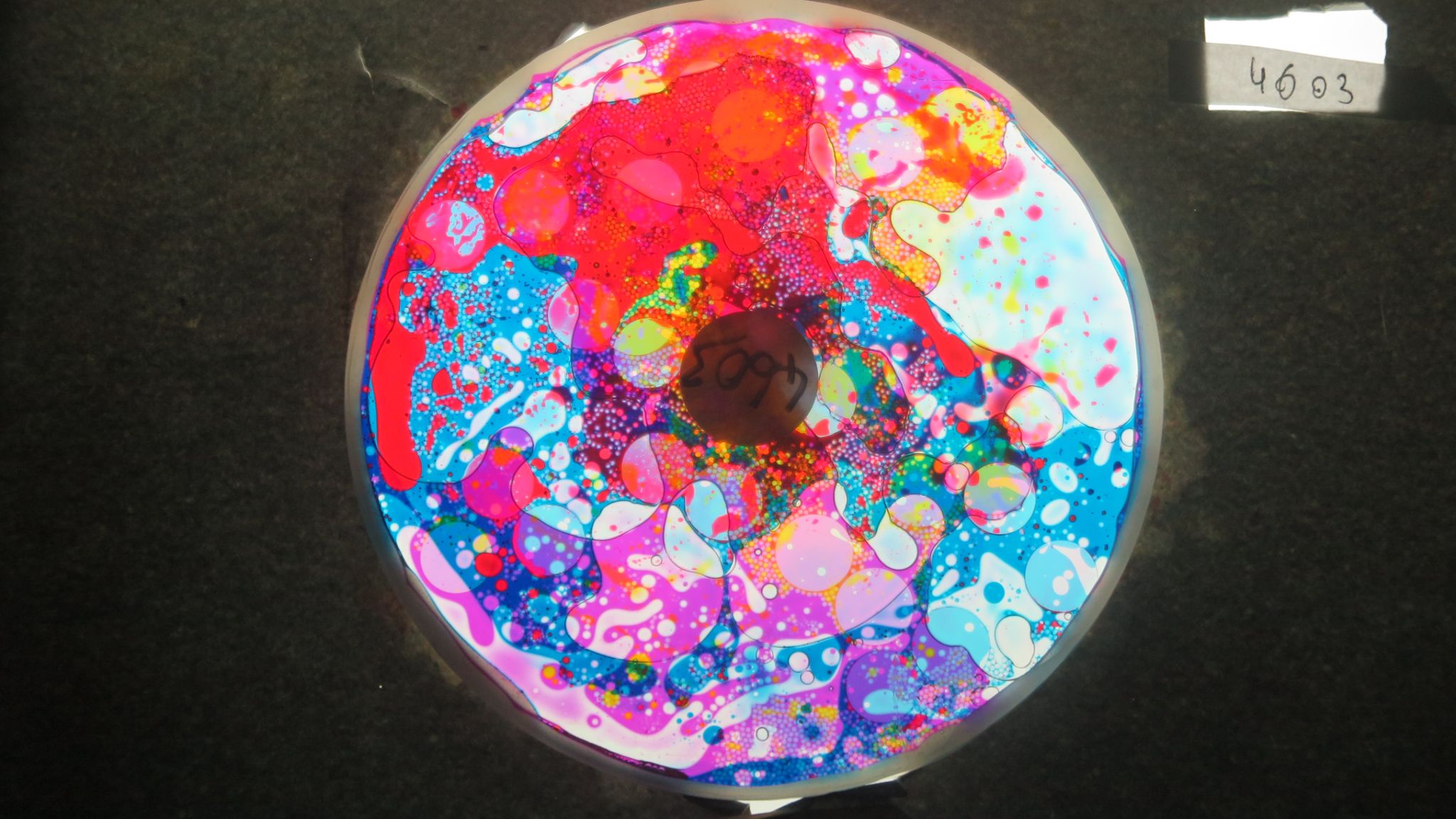 BV4603 bubble vision oil wheel